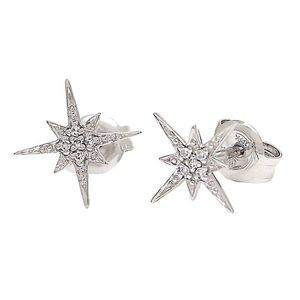 Diamond Star Fashion Earring (14Kwg)